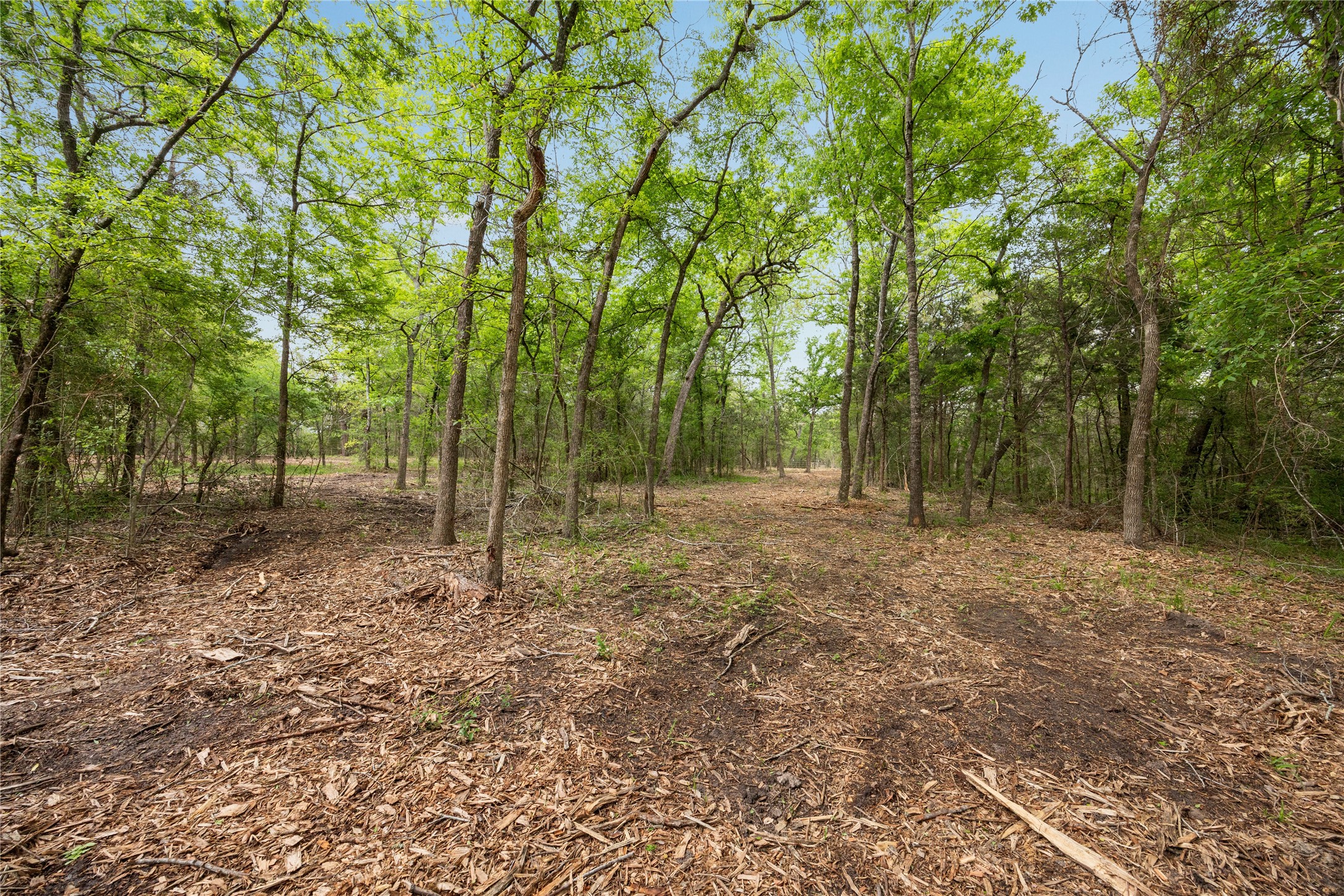 4577 Old Navasota Road Brenham, TX 77833 - Photo 3 of 5