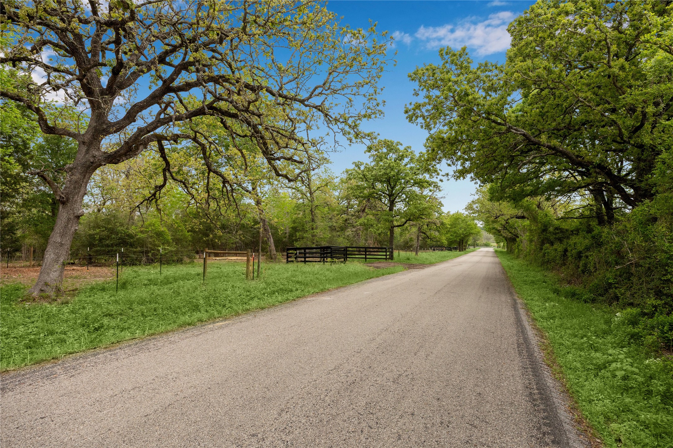 4577 Old Navasota Road Brenham, TX 77833 - Photo 4 of 5