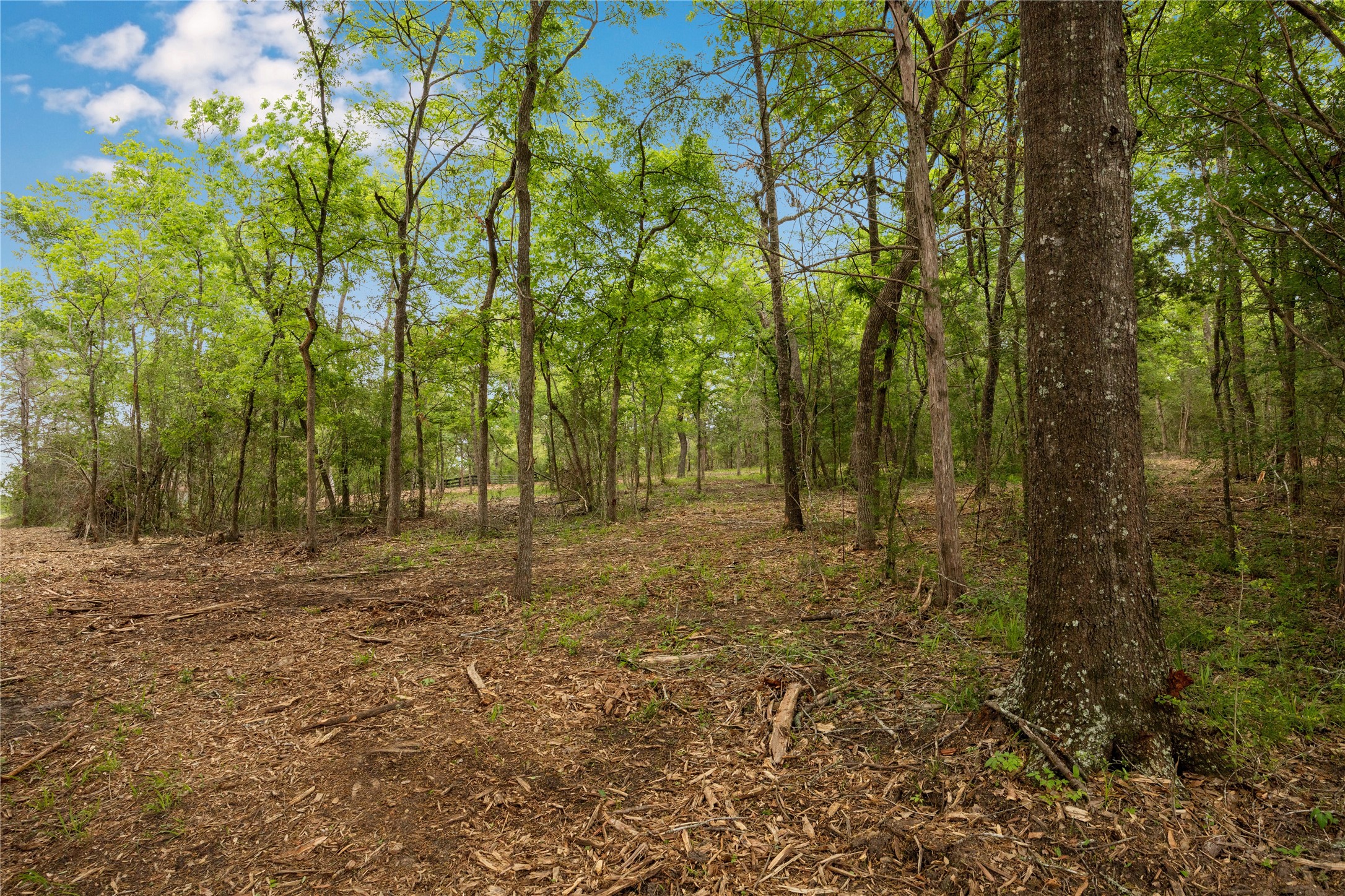 4577 Old Navasota Road Brenham, TX 77833 - Photo 5 of 5