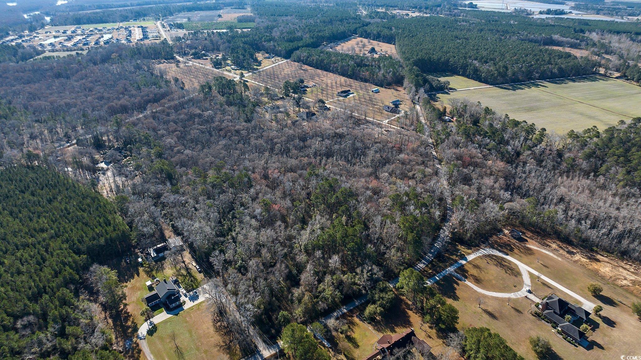 Tbd Reba Drive Conway, SC 29527 - Photo 4 of 16