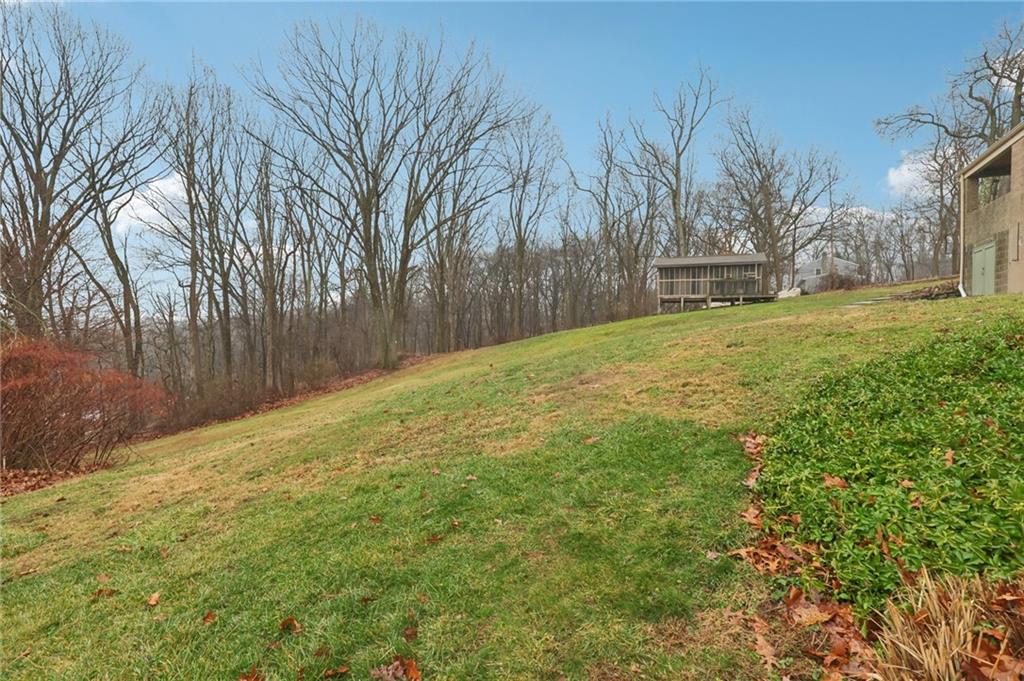 5374 Hardt Road Gibsonia, PA 15044 - Photo 41 of 49 a fire hydrant in the middle of a field