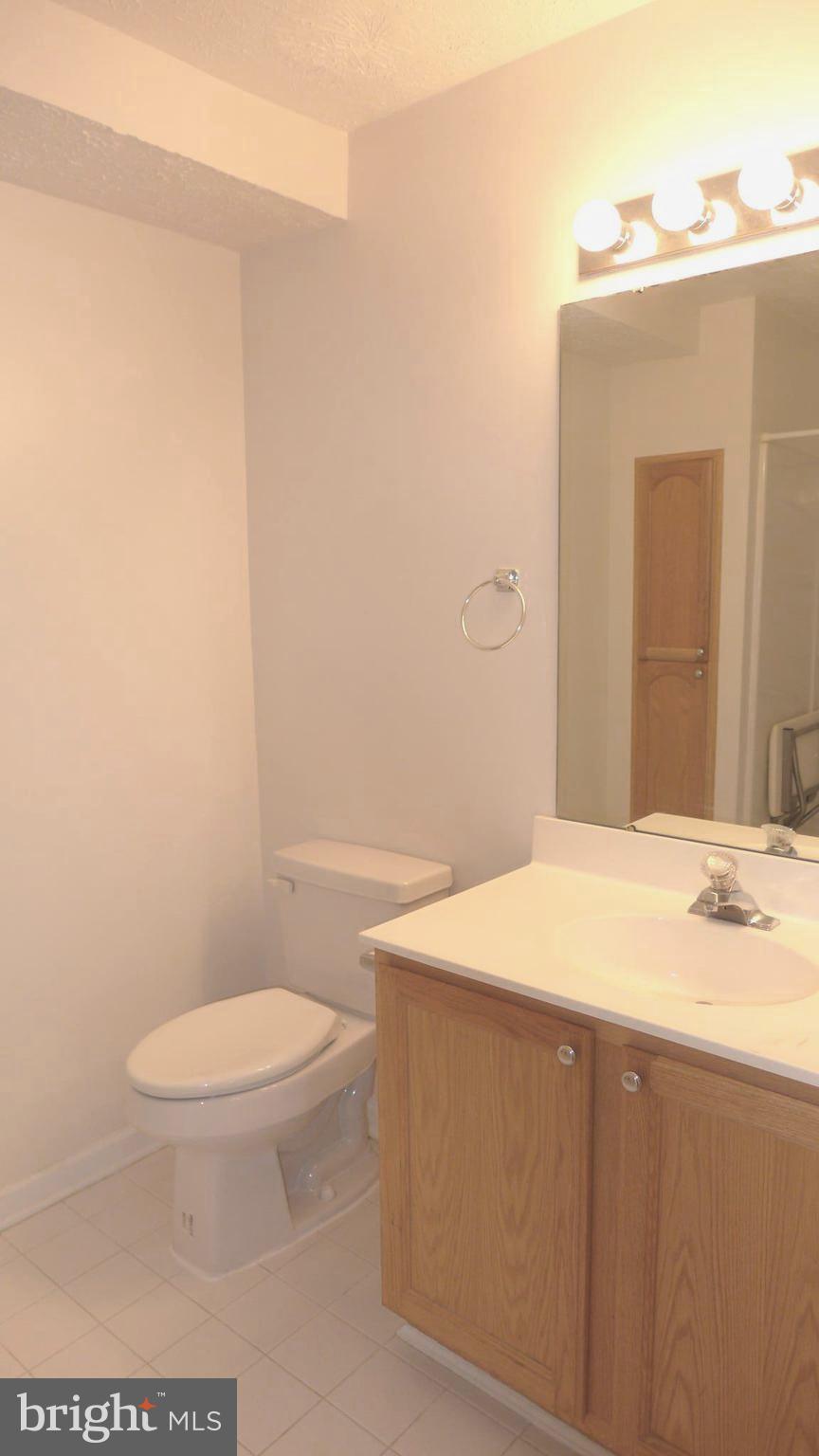9746 Reese Farm Road, Unit 9746 Owings Mills, MD 21117 - Photo 17 of 22 a bathroom with a sink a toilet and mirror