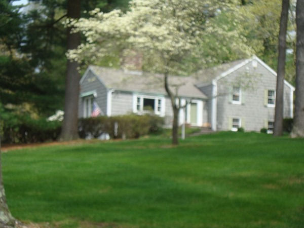 a front view of house with yard and green space
