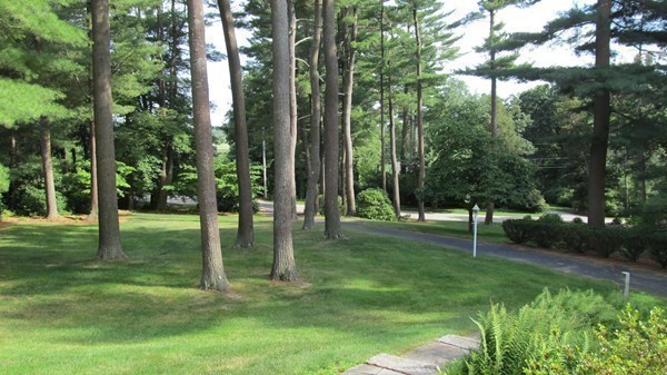 85 Brigantine Circle Norwell, MA 02061 - Photo 19 of 23 a backyard of a house with lots of green space