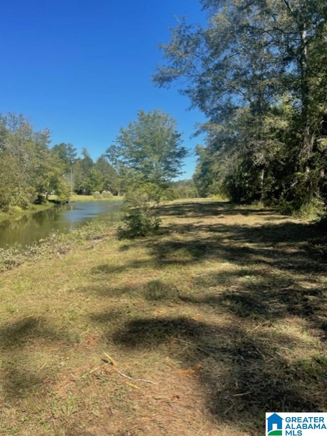 0 Paradise Point Drive Columbiana, AL 35051 - Photo 19 of 23
