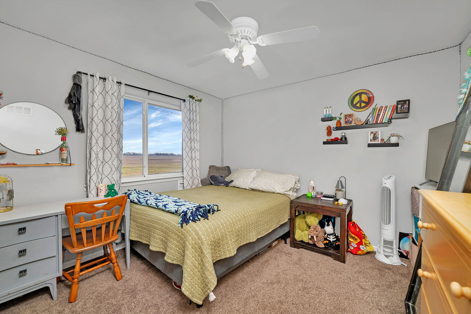 26909 West Cypress Road Channahon, IL 60410 - Photo 17 of 34