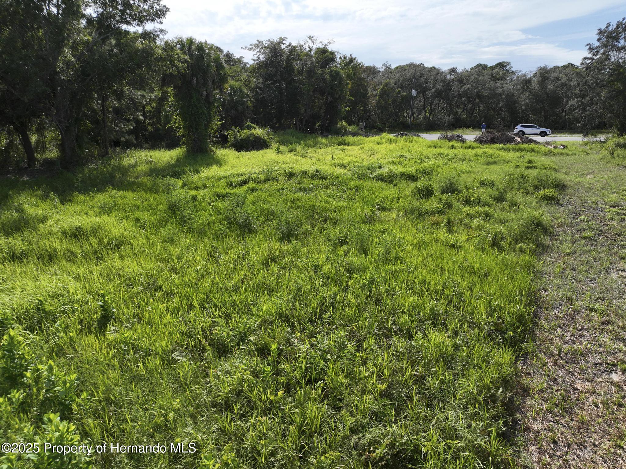 290 Suzanne Drive Spring Hill, FL 34607 - Photo 15 of 15
