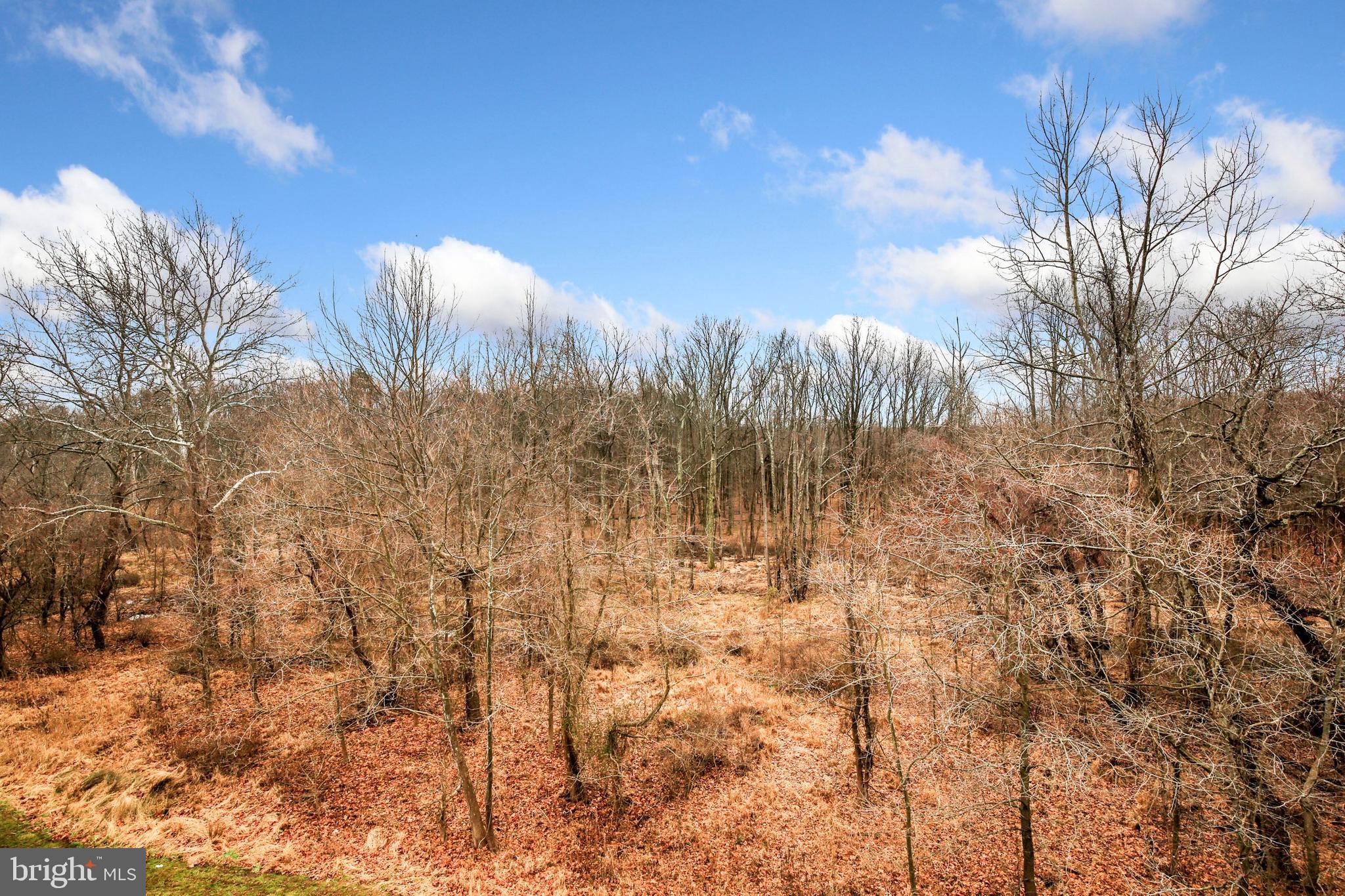 934 Morgan Run Road Baltimore, MD 21220 - Photo 44 of 53