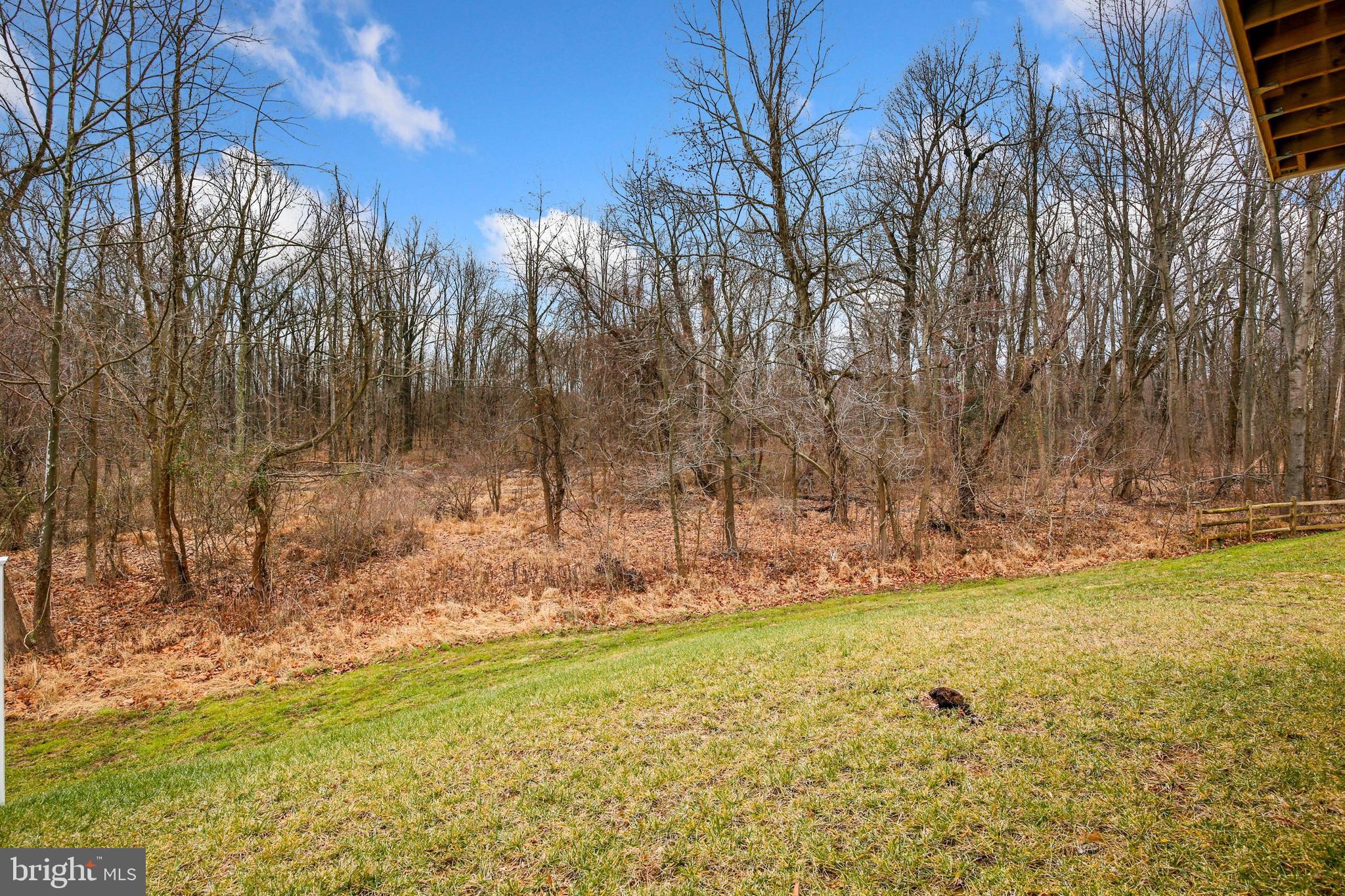 934 Morgan Run Road Baltimore, MD 21220 - Photo 48 of 53
