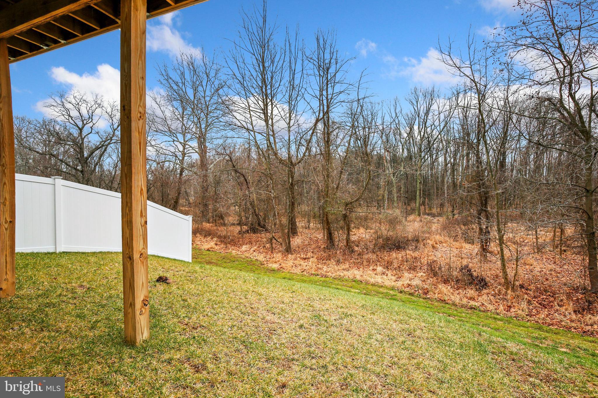 934 Morgan Run Road Baltimore, MD 21220 - Photo 49 of 53