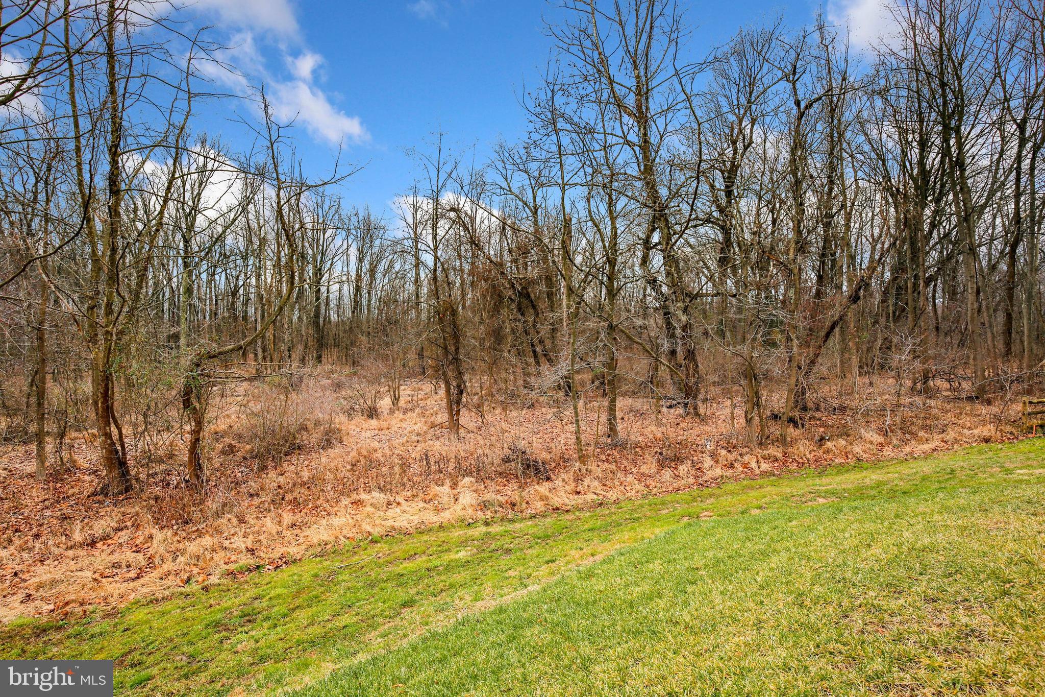 934 Morgan Run Road Baltimore, MD 21220 - Photo 53 of 53