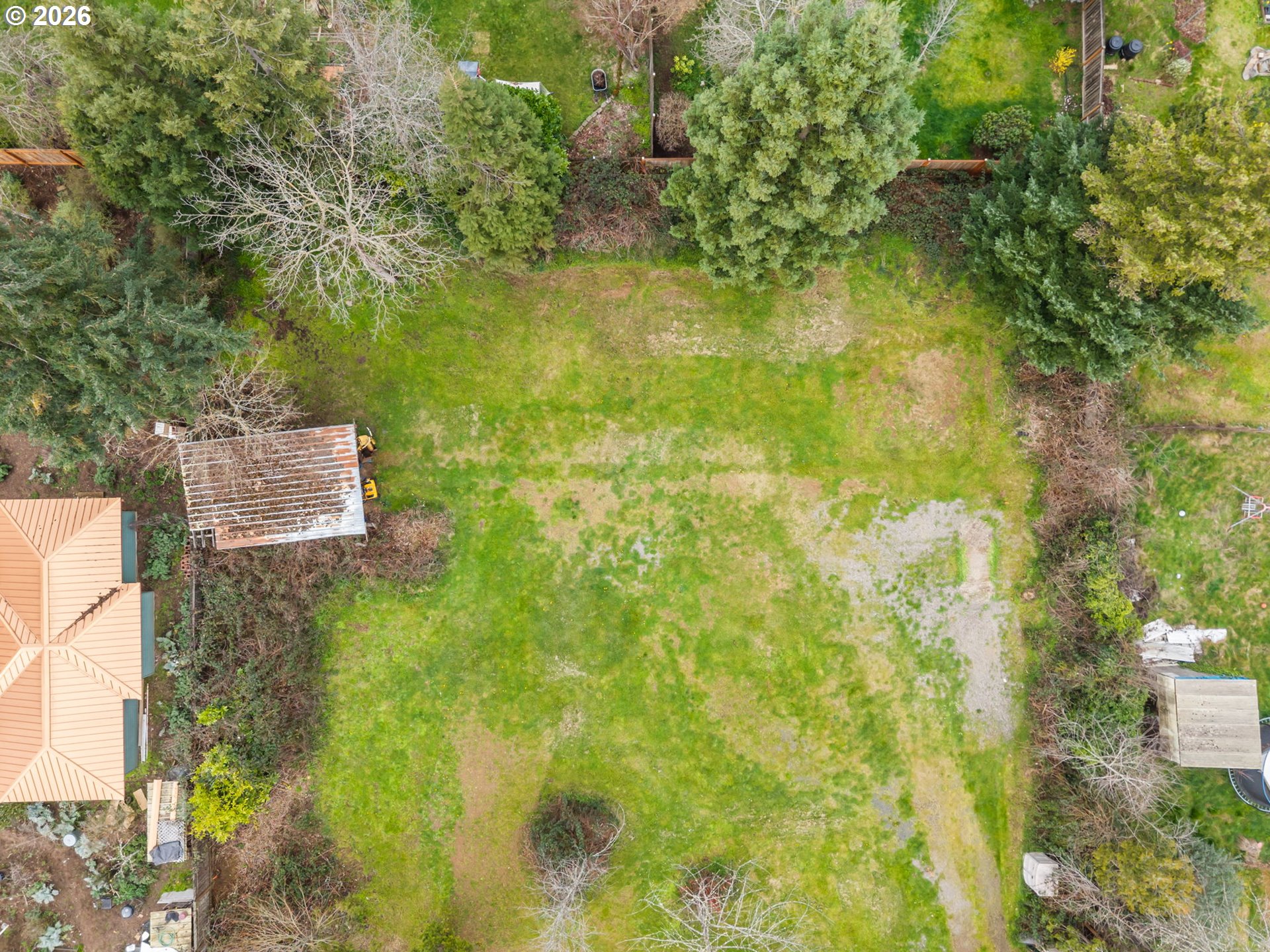 West 18th Avenue Eugene, OR 97402 - Photo 3 of 9 a view of a yard with plants and large trees