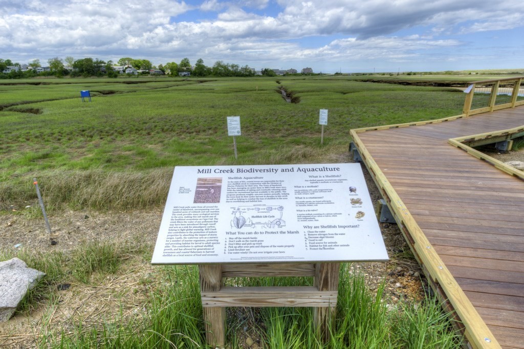 1 Factory Street Sandwich, MA 02563 - Photo 36 of 38 a view of a back yard