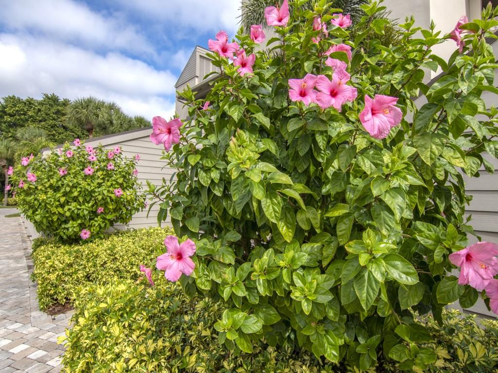 1880 Bay Road, Unit 220I Vero Beach, FL 32963 - Photo 28 of 28