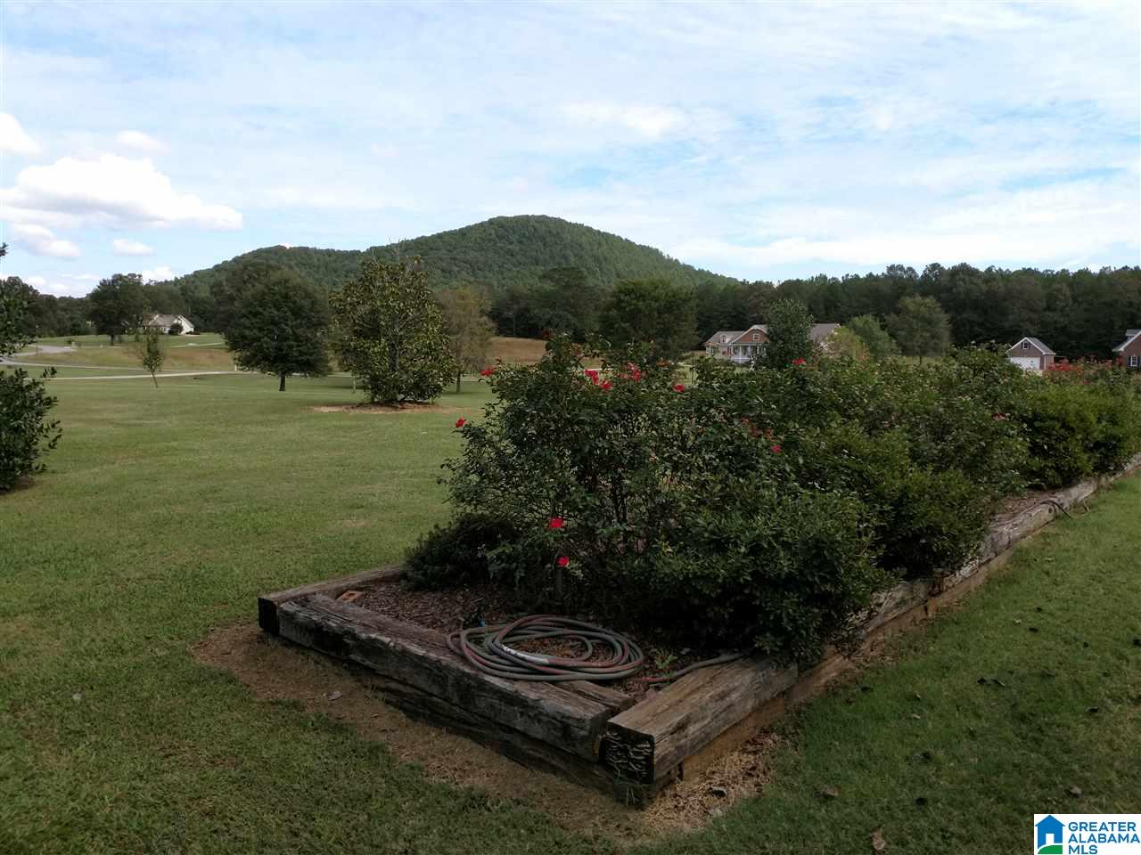 1100 Arco Dairy Road Alpine, AL 35014 - Photo 8 of 30