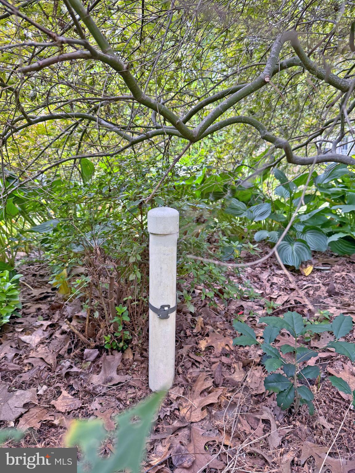 34652 Nottingham Way Frankford, DE 19945 - Photo 37 of 42 2" - 100' Well