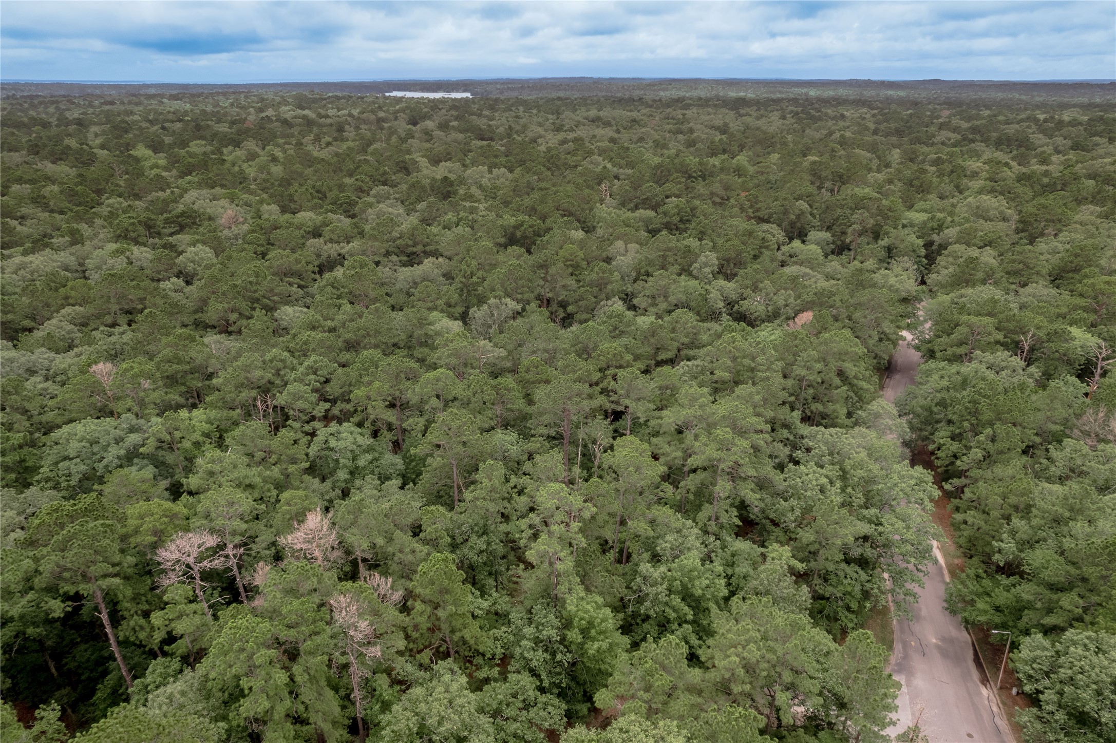 Lot 9 Rohm Place Point Blank, TX 77364 - Photo 11 of 26