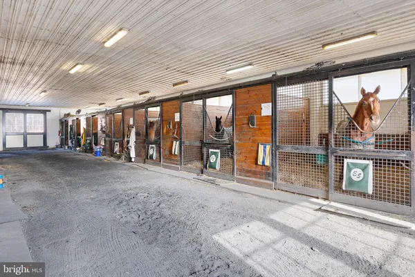 a view of a garage with wooden roof