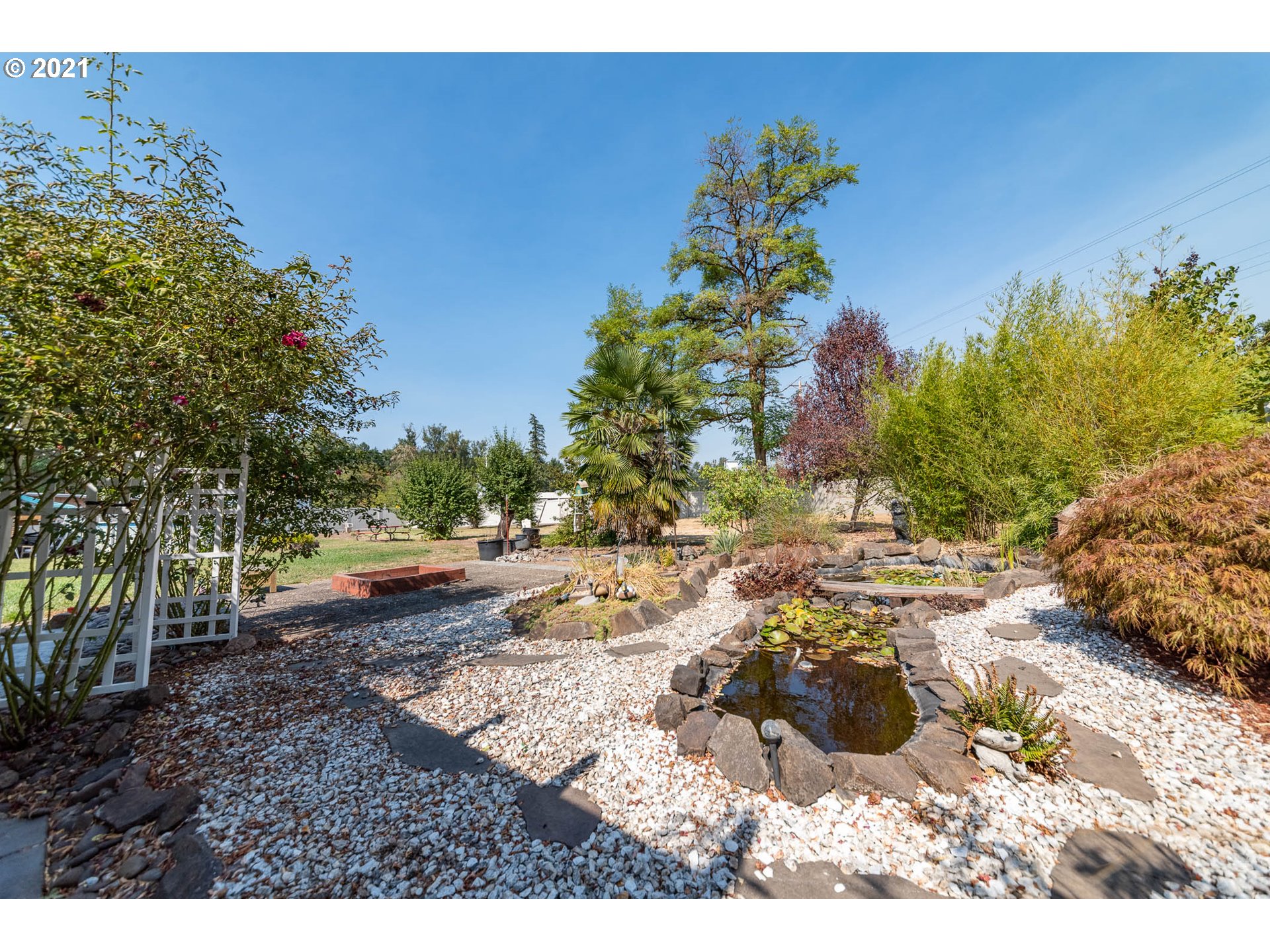 38383 Dexter Road Dexter, OR 97431 - Photo 22 of 32 a view of a yard with plants and trees