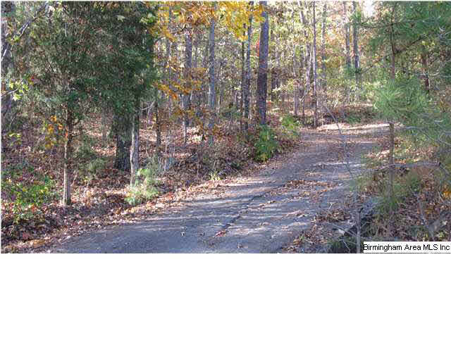 71 Merrilee Circle Remlap, AL 35133 - Photo 9 of 9