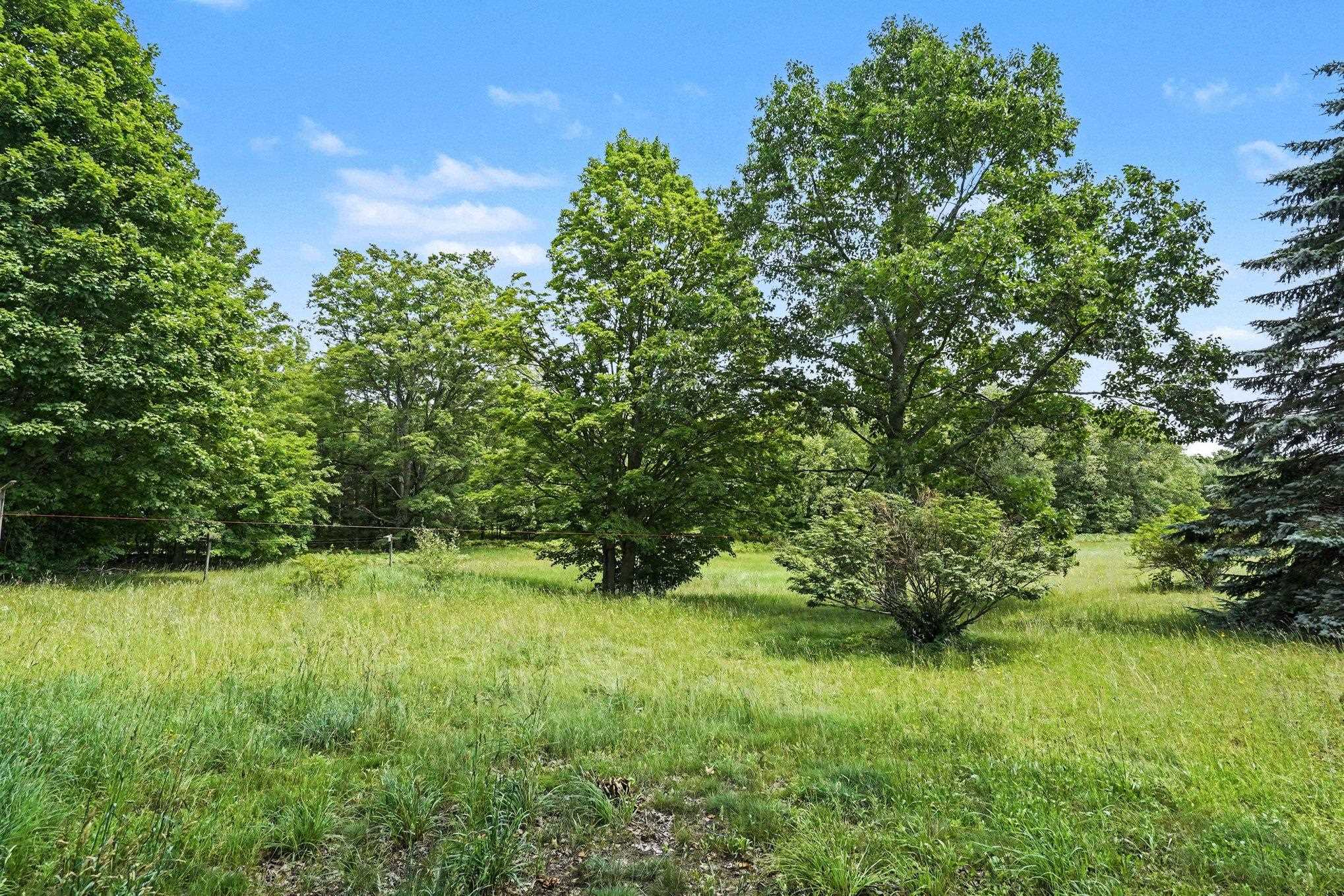 5560 Demerly Road Benzonia, MI 49616 - Photo 3 of 34