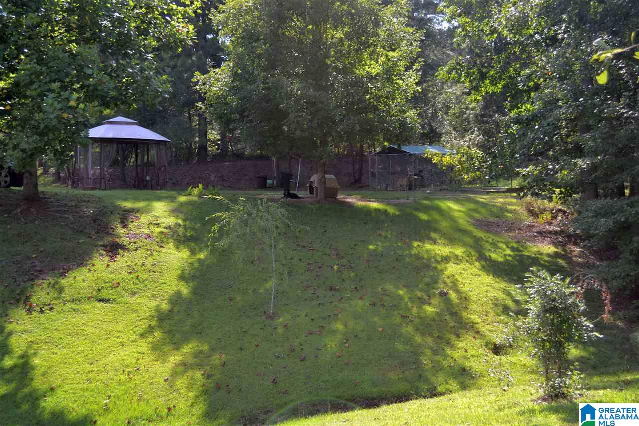 5125 Warrior Jasper Road Dora, AL 35062 - Photo 32 of 35