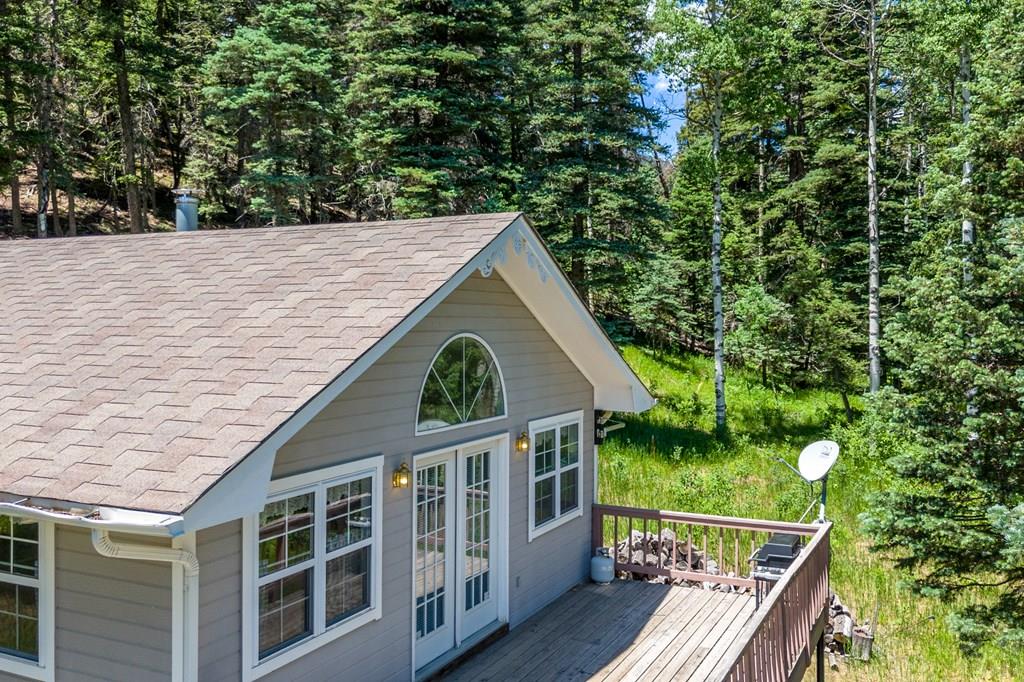 519 Westcliffe Drive Rye, CO 81069 - Photo 9 of 34