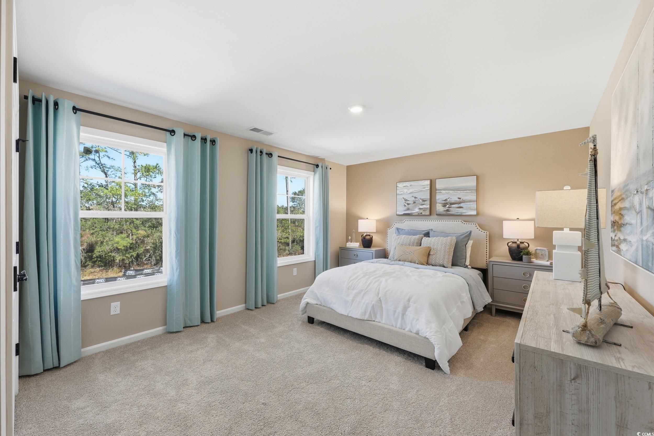 4106 Collins Farm Way Conway, SC 29526 - Photo 20 of 40