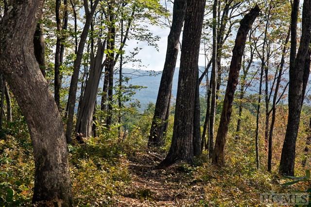 3 Hardscrabble Ridge Road Highlands, NC 28741 - Photo 3 of 4 Gallery Image 3