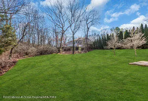 a view of a yard with large trees