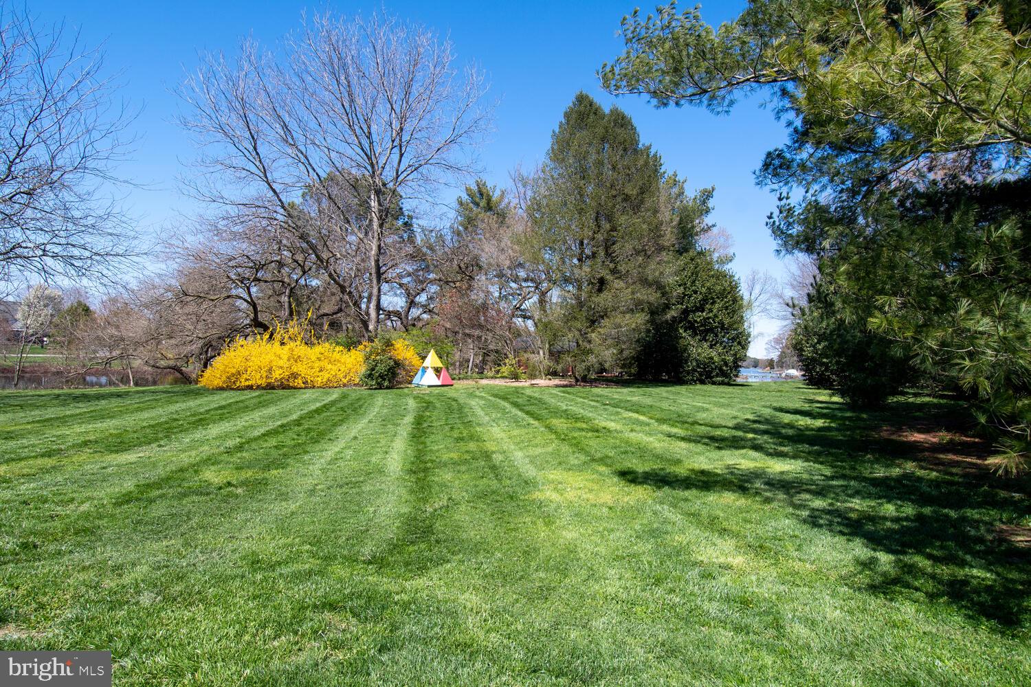 8458 Aveley Farm Road Easton, MD 21601 - Photo 36 of 42 LAWN VIEW
