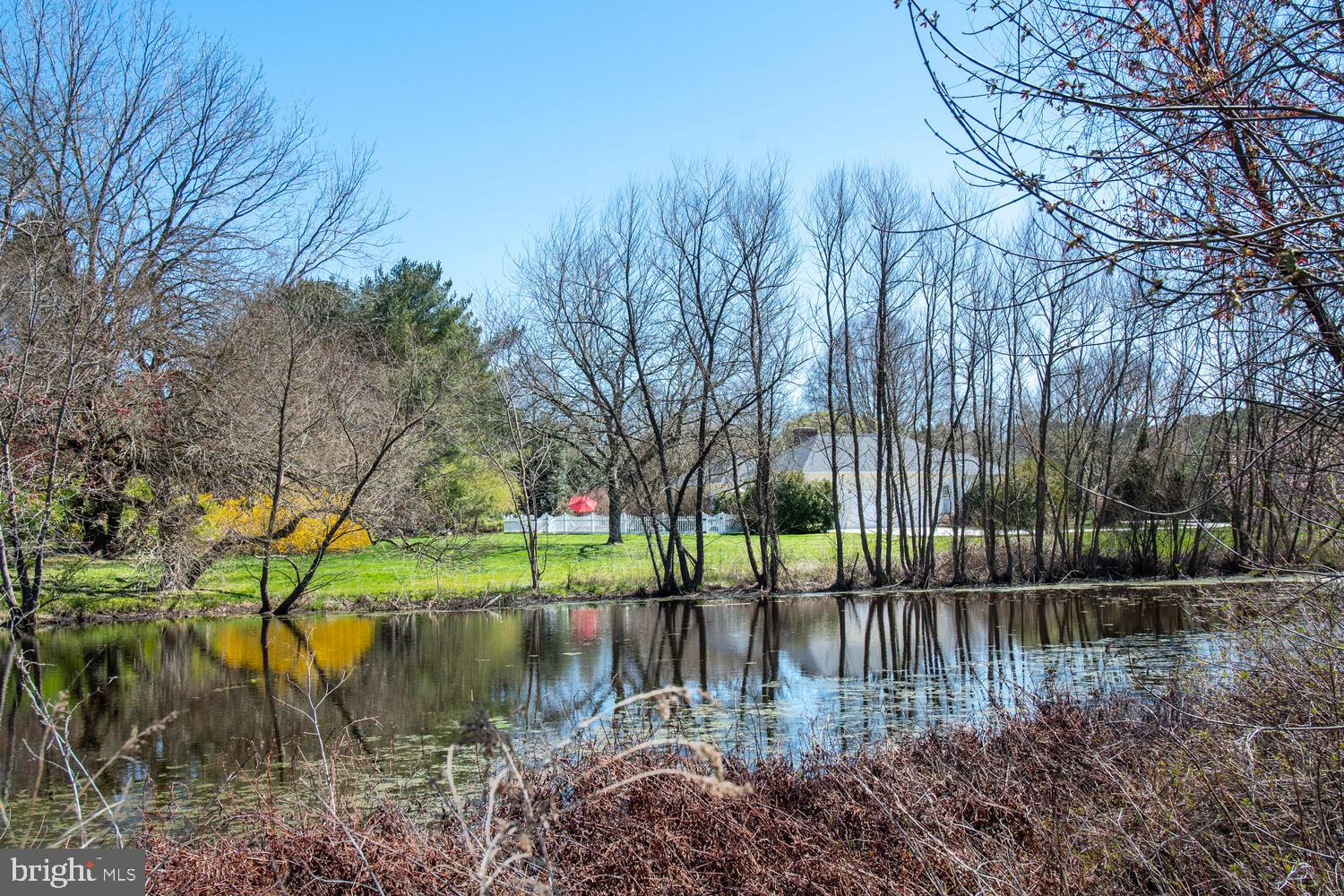 8458 Aveley Farm Road Easton, MD 21601 - Photo 4 of 42 VIEW OVER POND