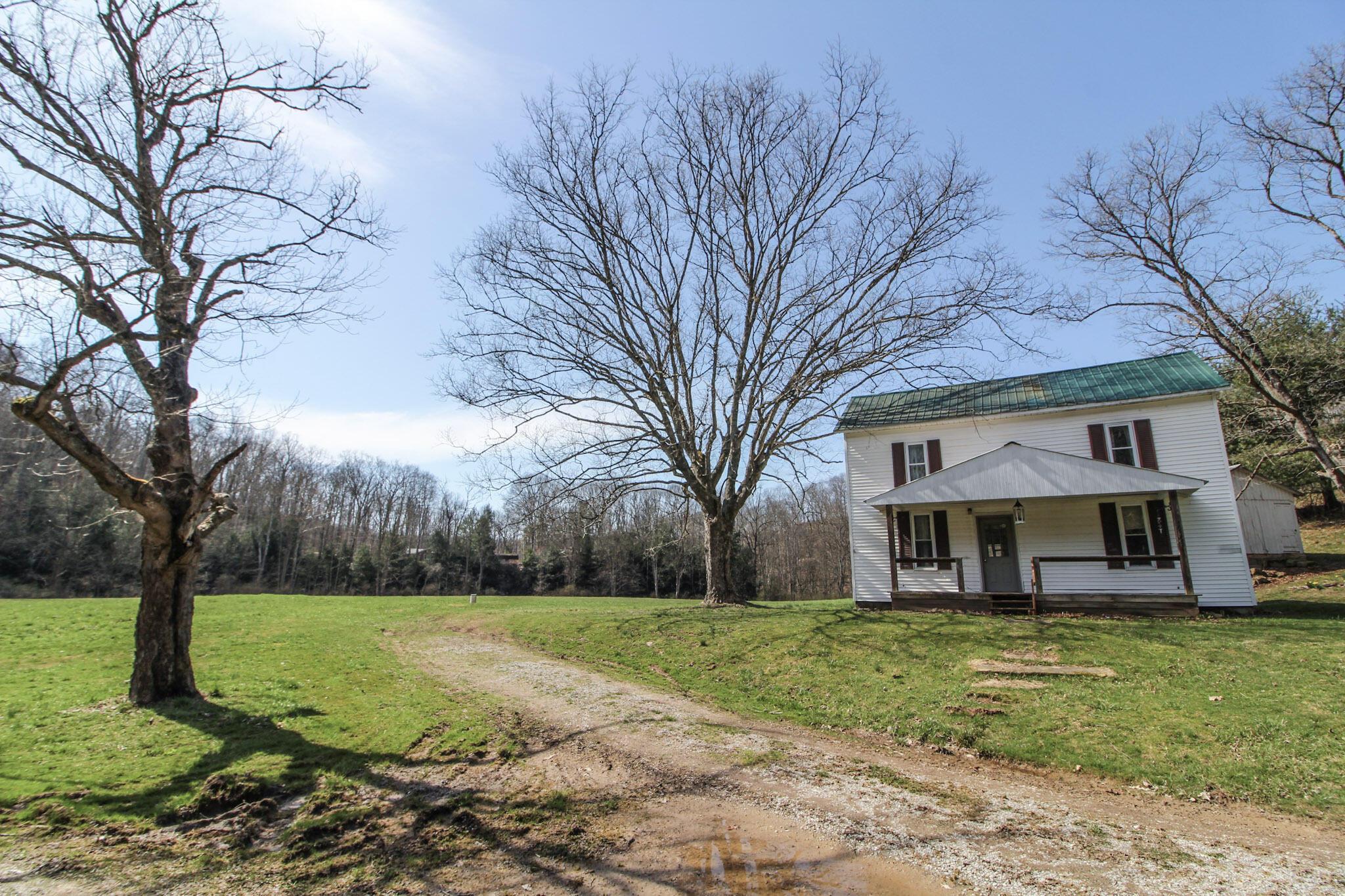 39353 Walnut Camp Road Sardis, OH 43946 - Photo 4 of 42 4-IMG_8137
