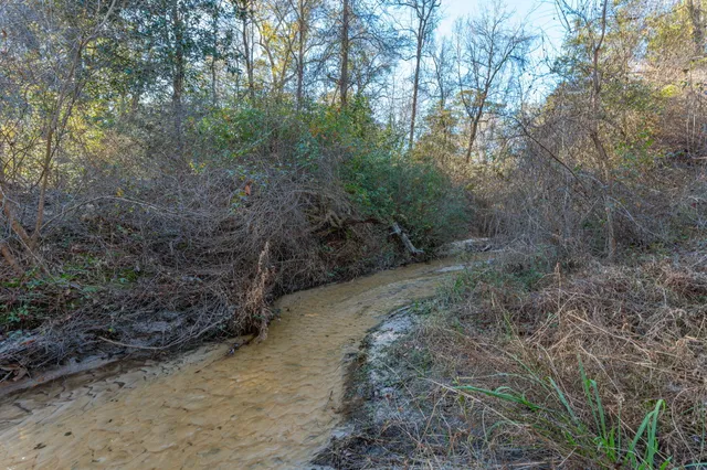 a big yard with lots of green space