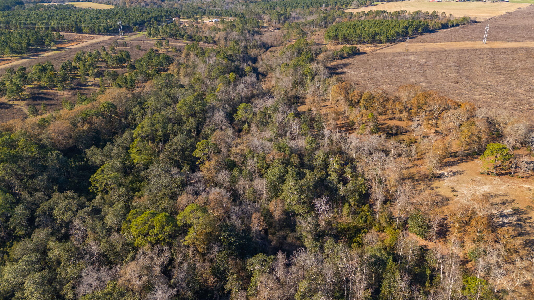 746 Davidson Road DeFuniak Springs, FL 32433 - Photo 77 of 82 94-web-or-mls-746 Davidson Rd Aerial-12
