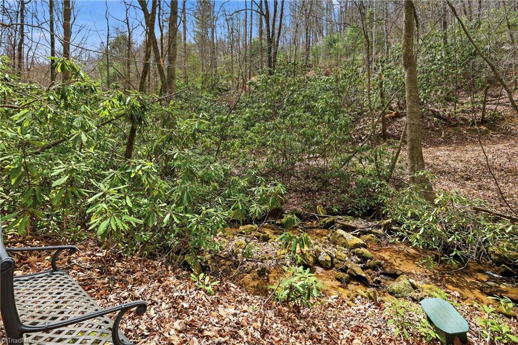 Lot 109-110 Pepper Bush Road Purlear, NC 28665 - Photo 22 of 36 Gallery Image 22