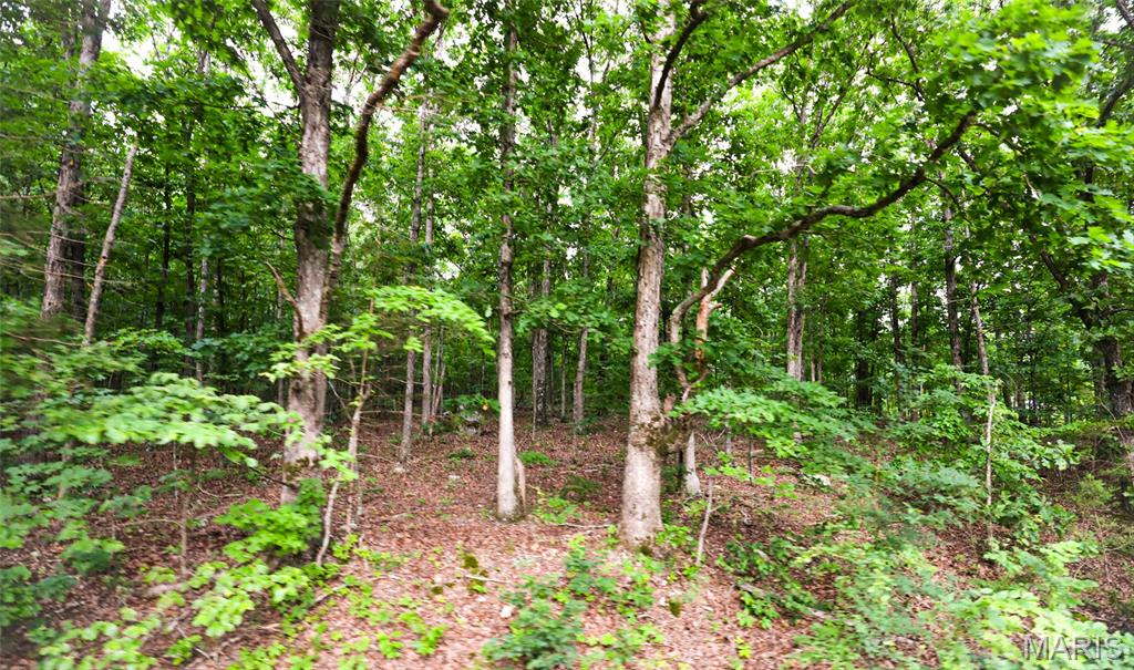 10102 Highway 67 Fredericktown, MO 63645 - Photo 42 of 71