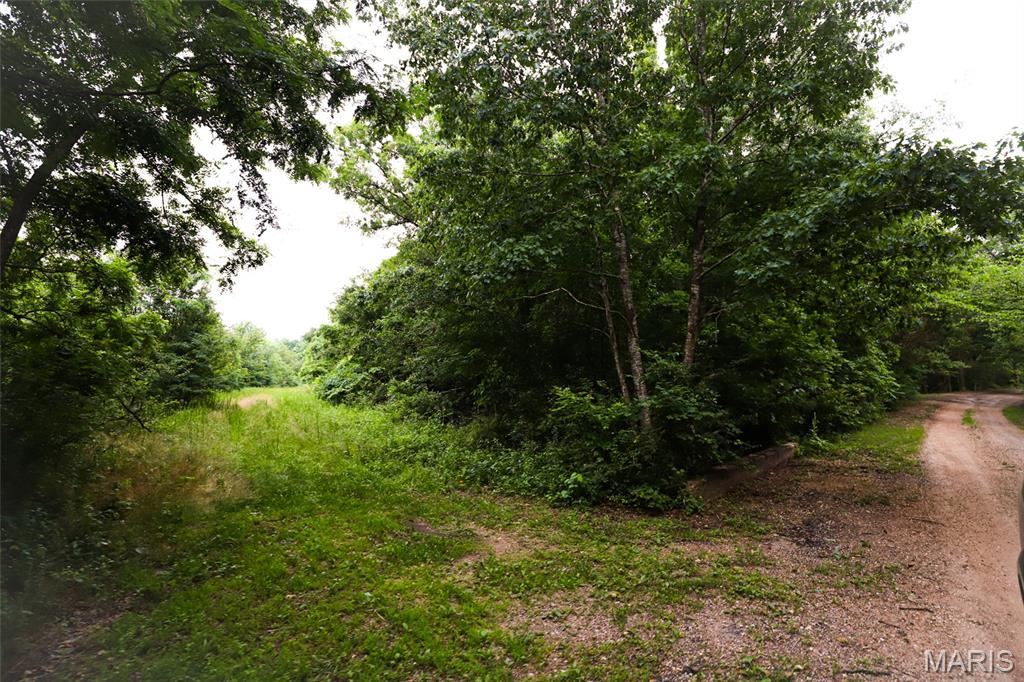 10102 Highway 67 Fredericktown, MO 63645 - Photo 43 of 71