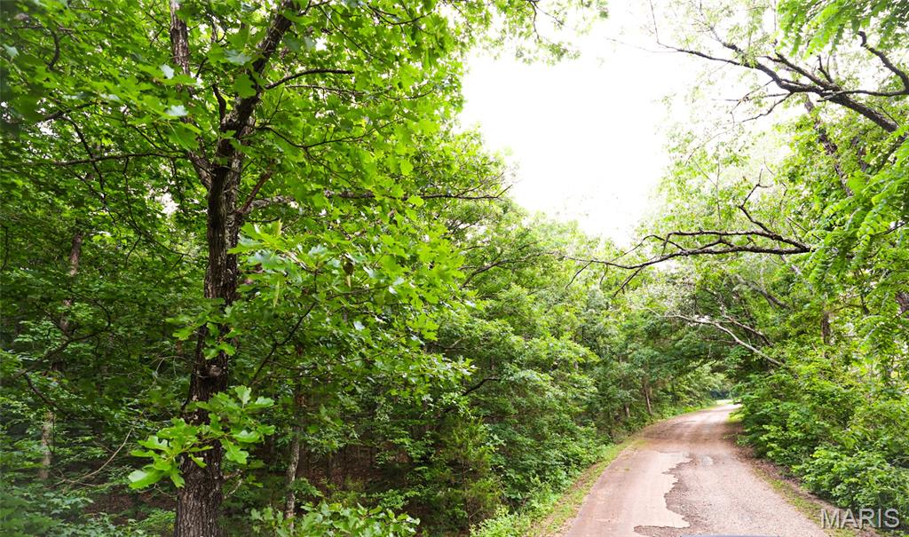 10102 Highway 67 Fredericktown, MO 63645 - Photo 44 of 71