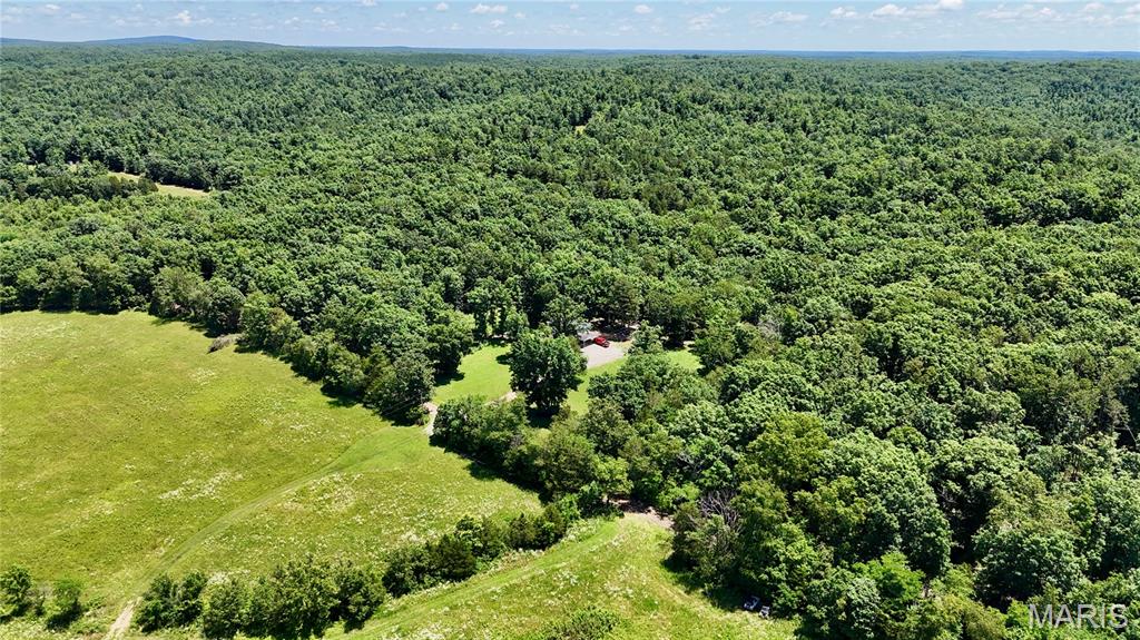 10102 Highway 67 Fredericktown, MO 63645 - Photo 55 of 71