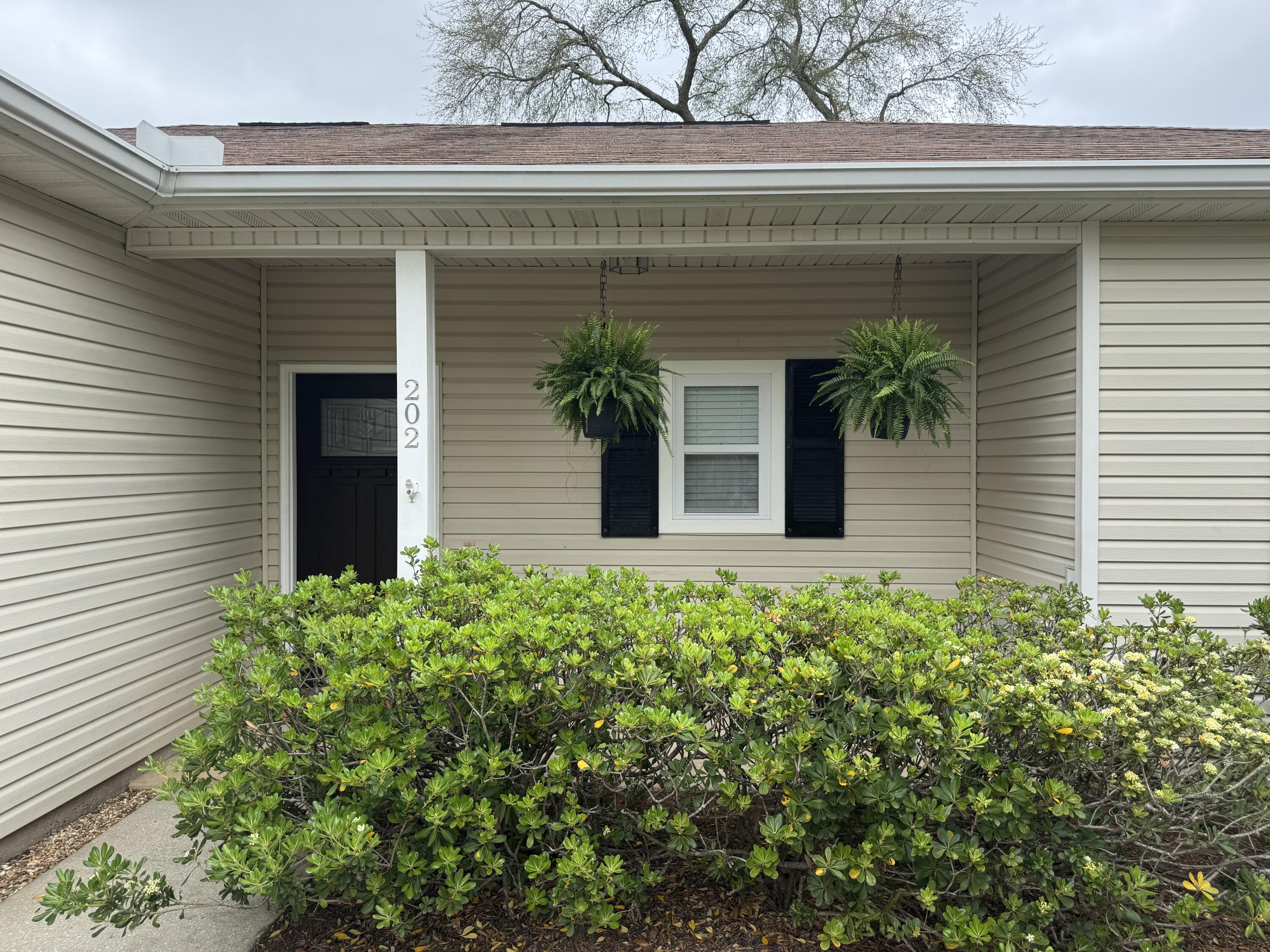 202 Ladue Avenue Crestview, FL 32539 - Photo 5 of 33 a view of front door and small plants