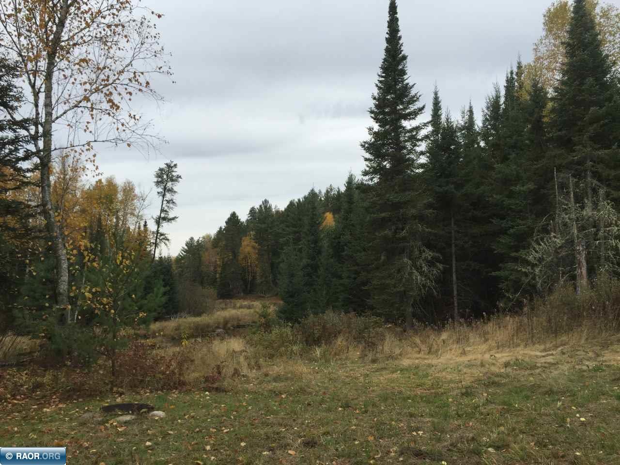 493 Forest Road Orr, MN 55771 - Photo 9 of 15