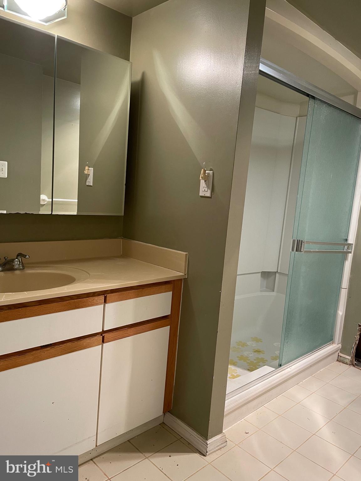 15101 Interlachen Drive, Unit 1111 Silver Spring, MD 20906 - Photo 8 of 16 Bathroom