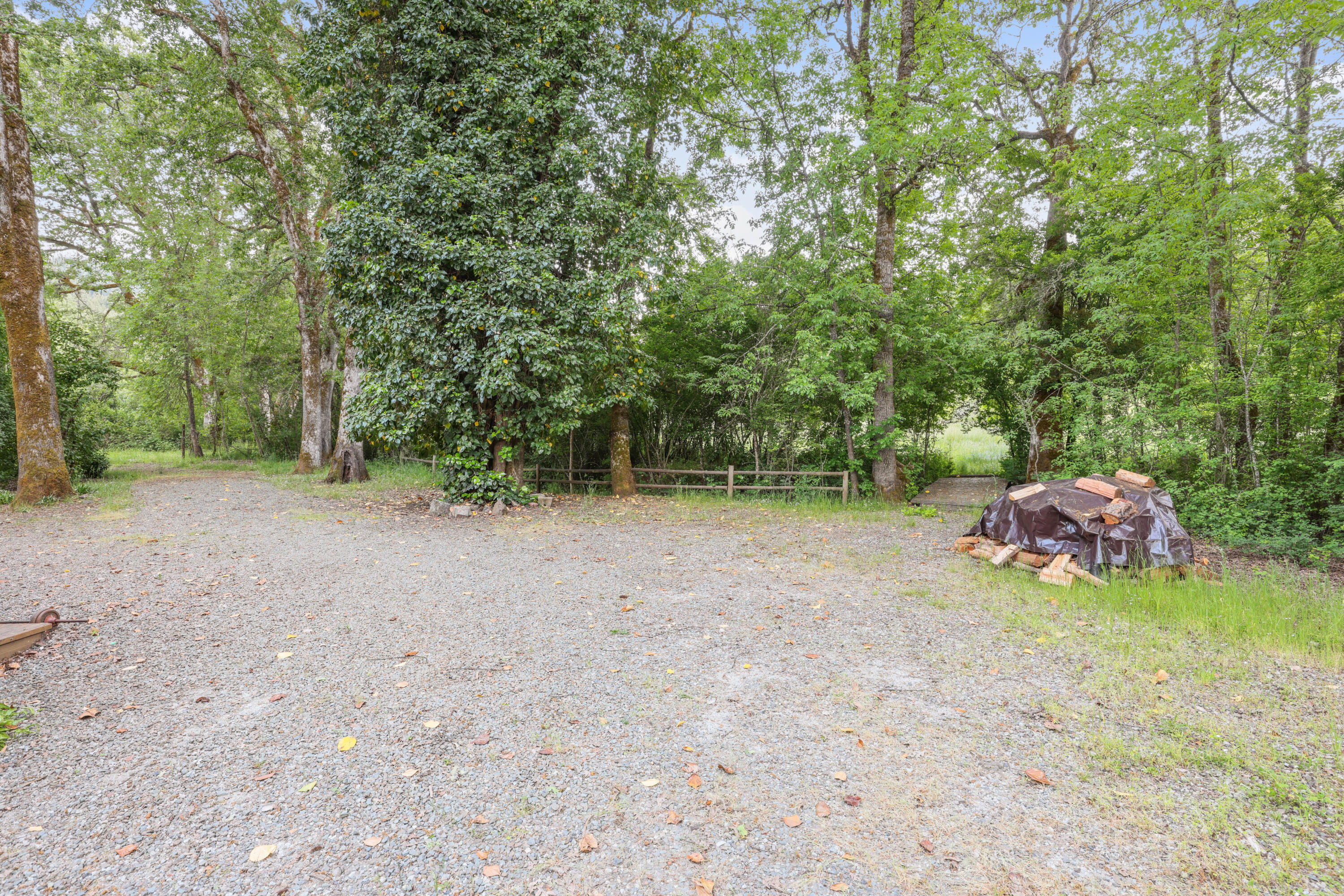 441 Tunnel Road Glendale, OR 97442 - Photo 7 of 29 EP1A2951
