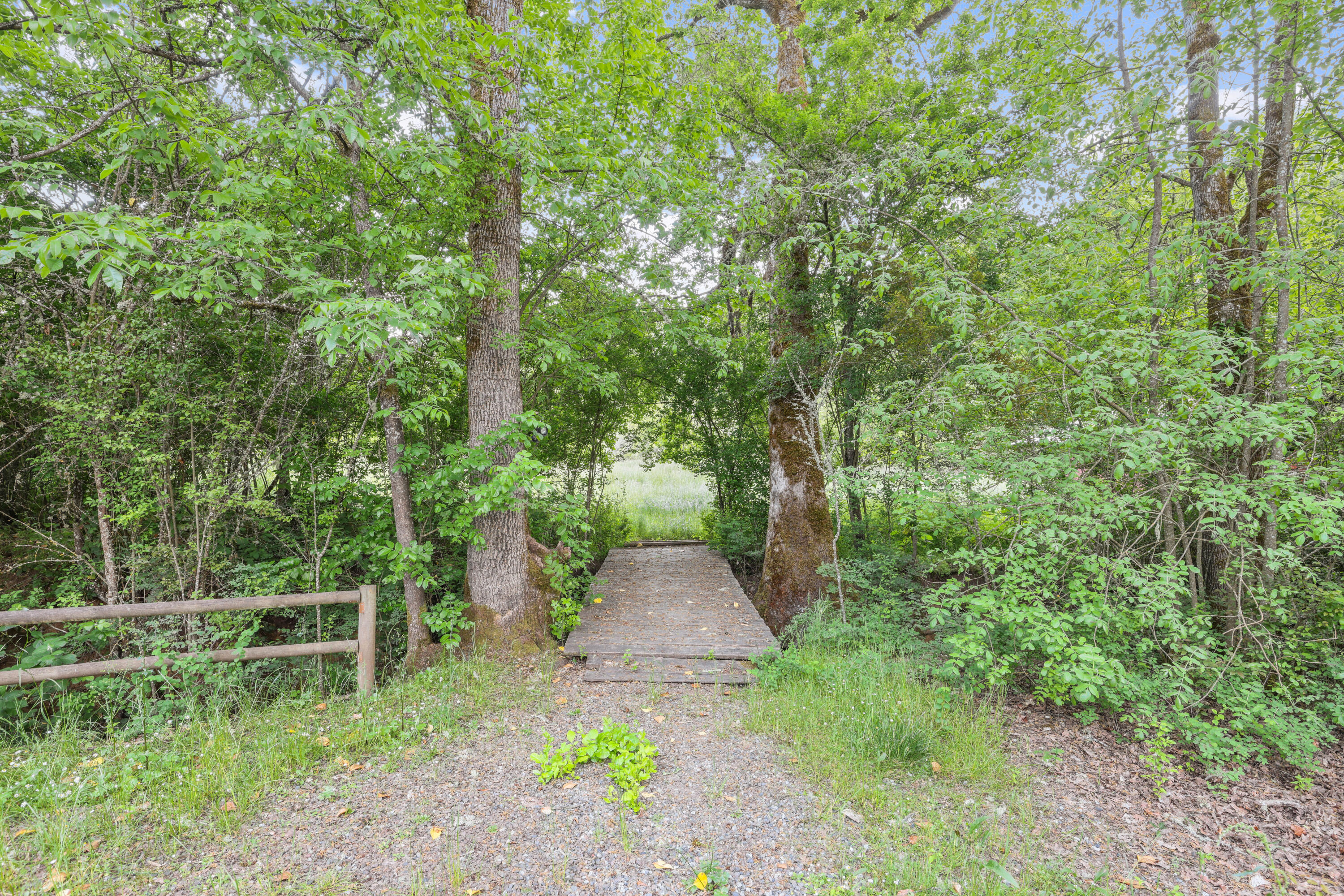 441 Tunnel Road Glendale, OR 97442 - Photo 9 of 29 EP1A2960