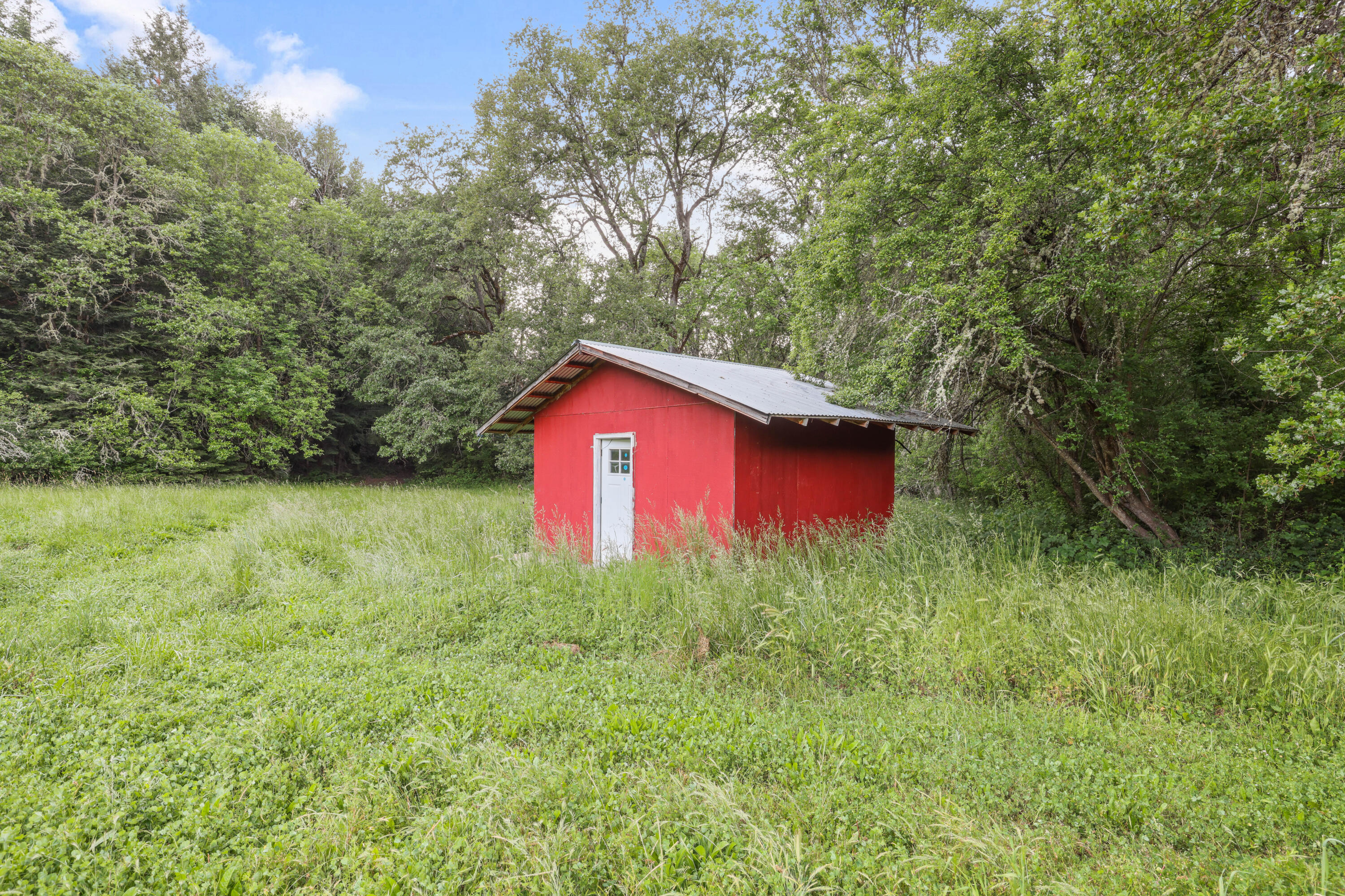441 Tunnel Road Glendale, OR 97442 - Photo 10 of 29 EP1A2963