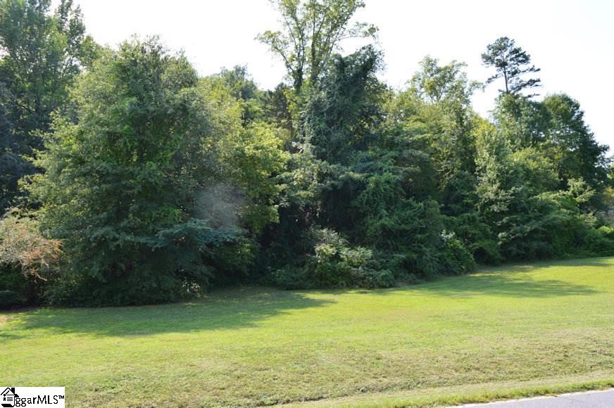 0 Skyuka Road Tryon, NC 28782 - Photo 2 of 5
