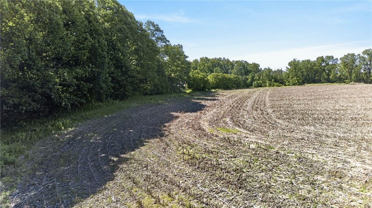 Cramer Road Canandaigua, NY 14424 - Photo 14 of 47