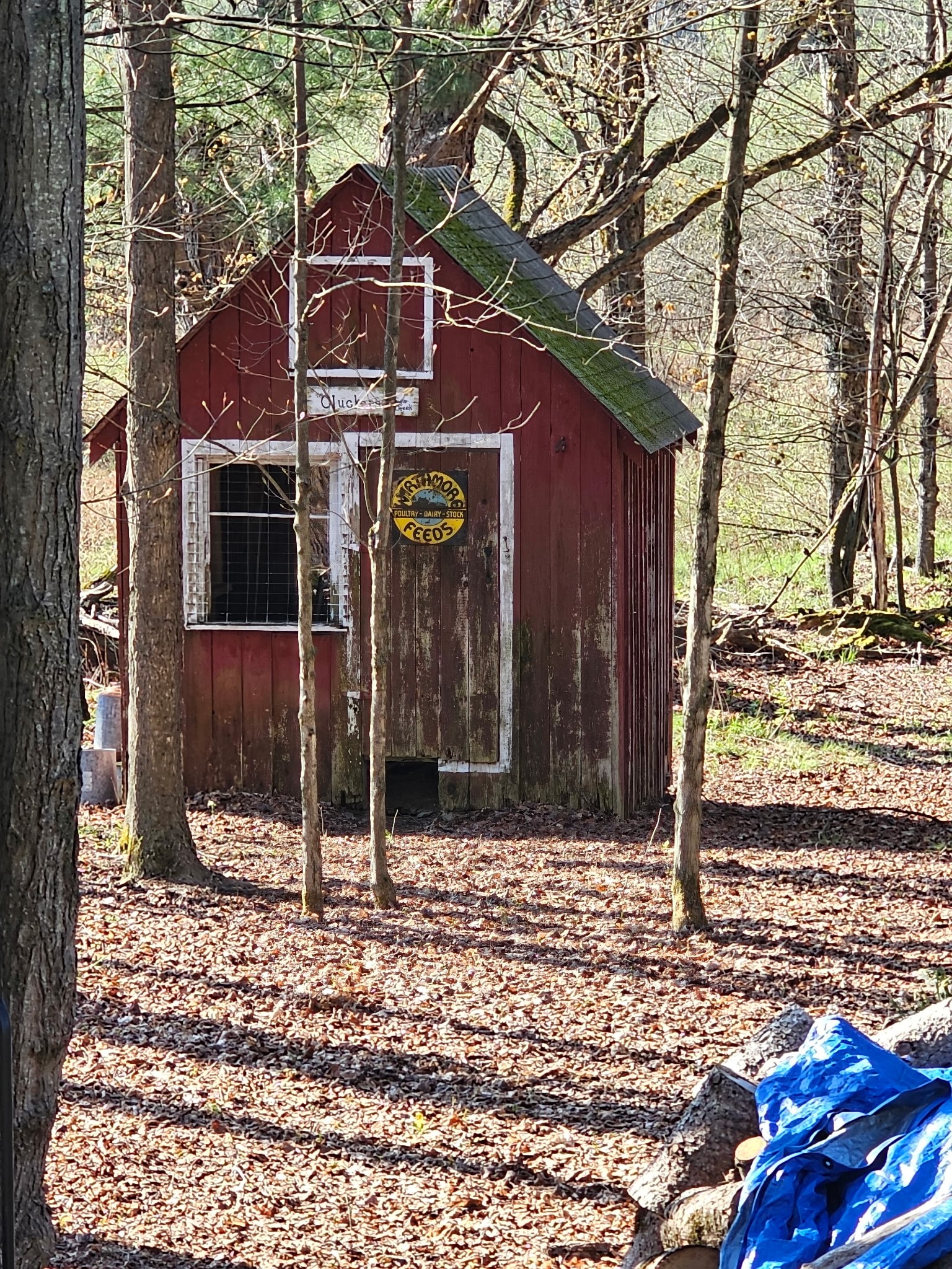 245 Powderhouse Road Vestal, NY 13850 - Photo 35 of 43