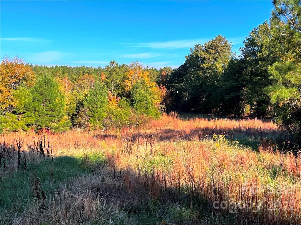 0 Collins Road, Unit +/ 84 ACRES Edgemoor, SC 29712 - Photo 3 of 7 a view of lake with green space